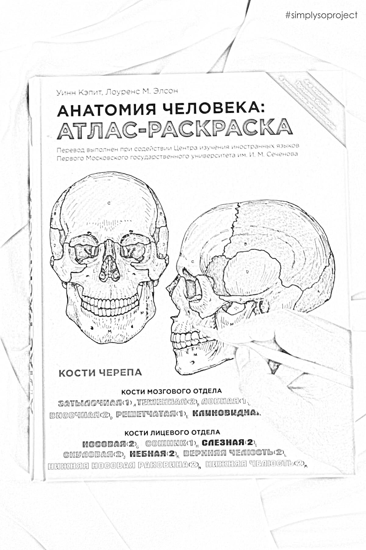 РаскраскаАтлас анатомии человека: раскраска. Человеческий череп с подписями структур