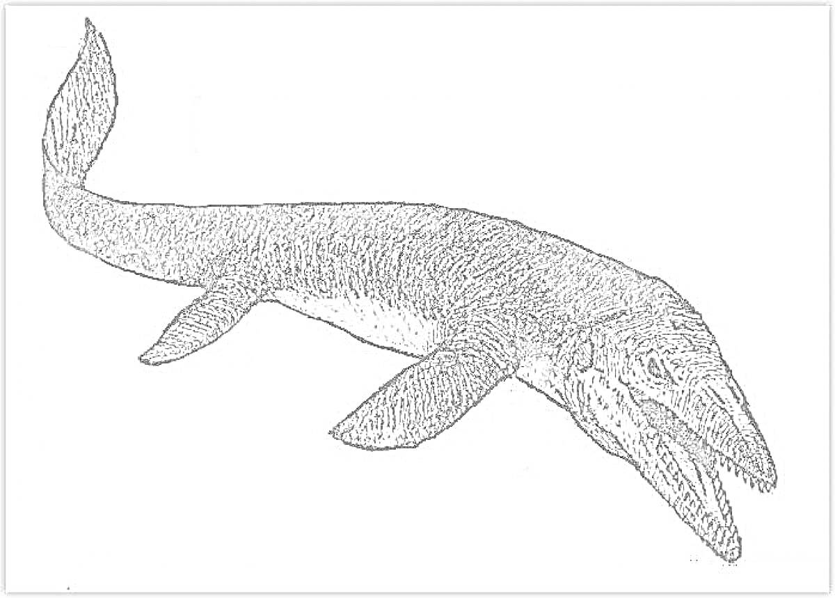 На раскраске изображено: Мозазавр, Динозавр, Открытая пасть, Плавники, Хвост