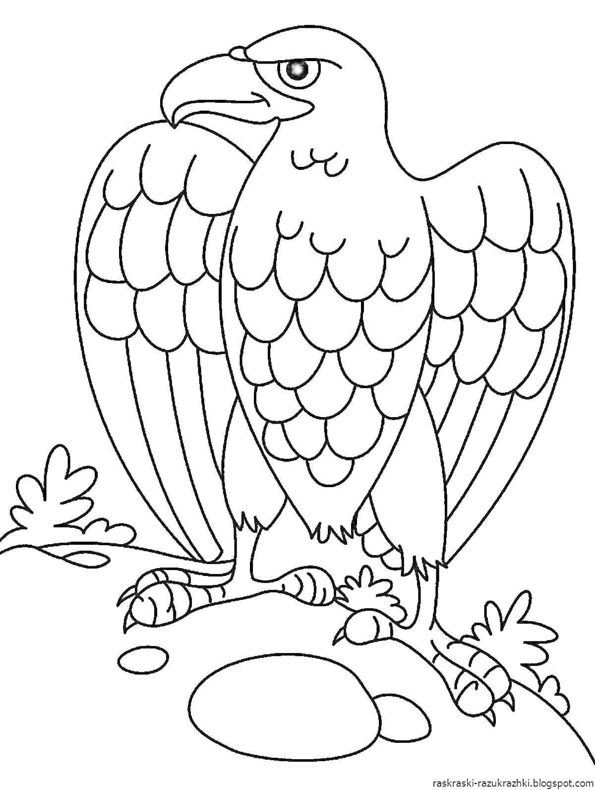 На раскраске изображено: Орел, Птица, Скалы, Природа, Растения, Для детей, 6-7 лет