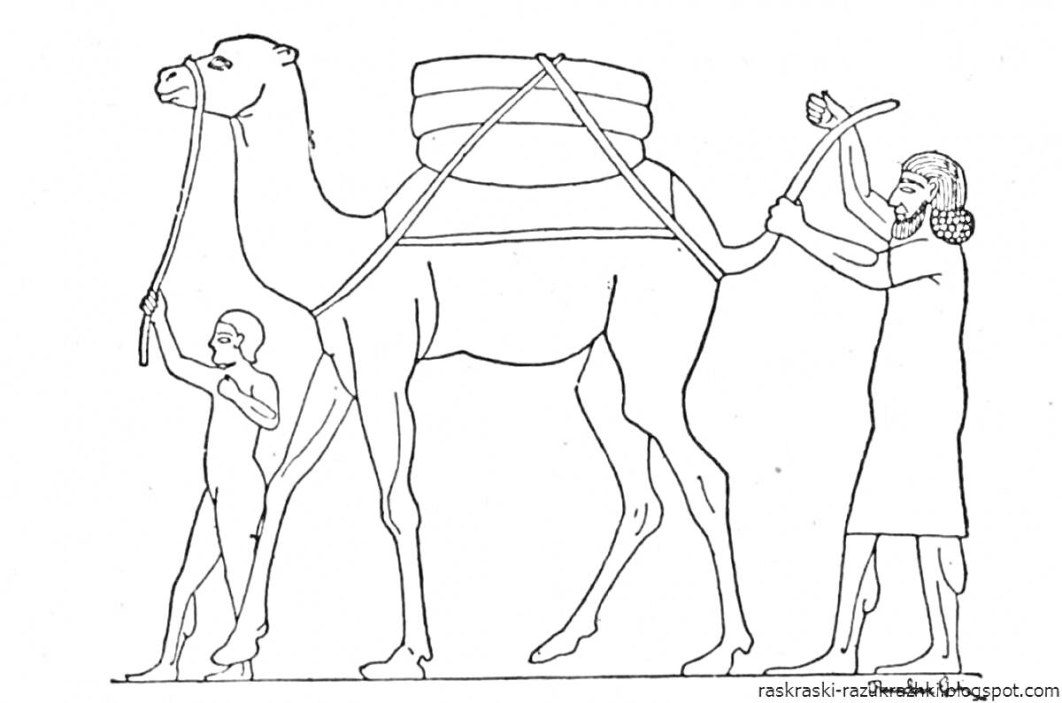 На раскраске изображено: Древний Египет, Верблюд, Груз, Пустыня