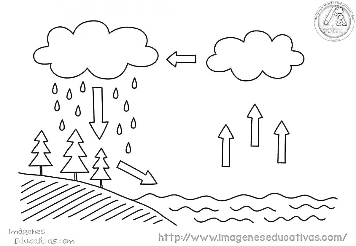 Раскраска Водный цикл с дождем, испарением и облаками над деревьями и водоемом