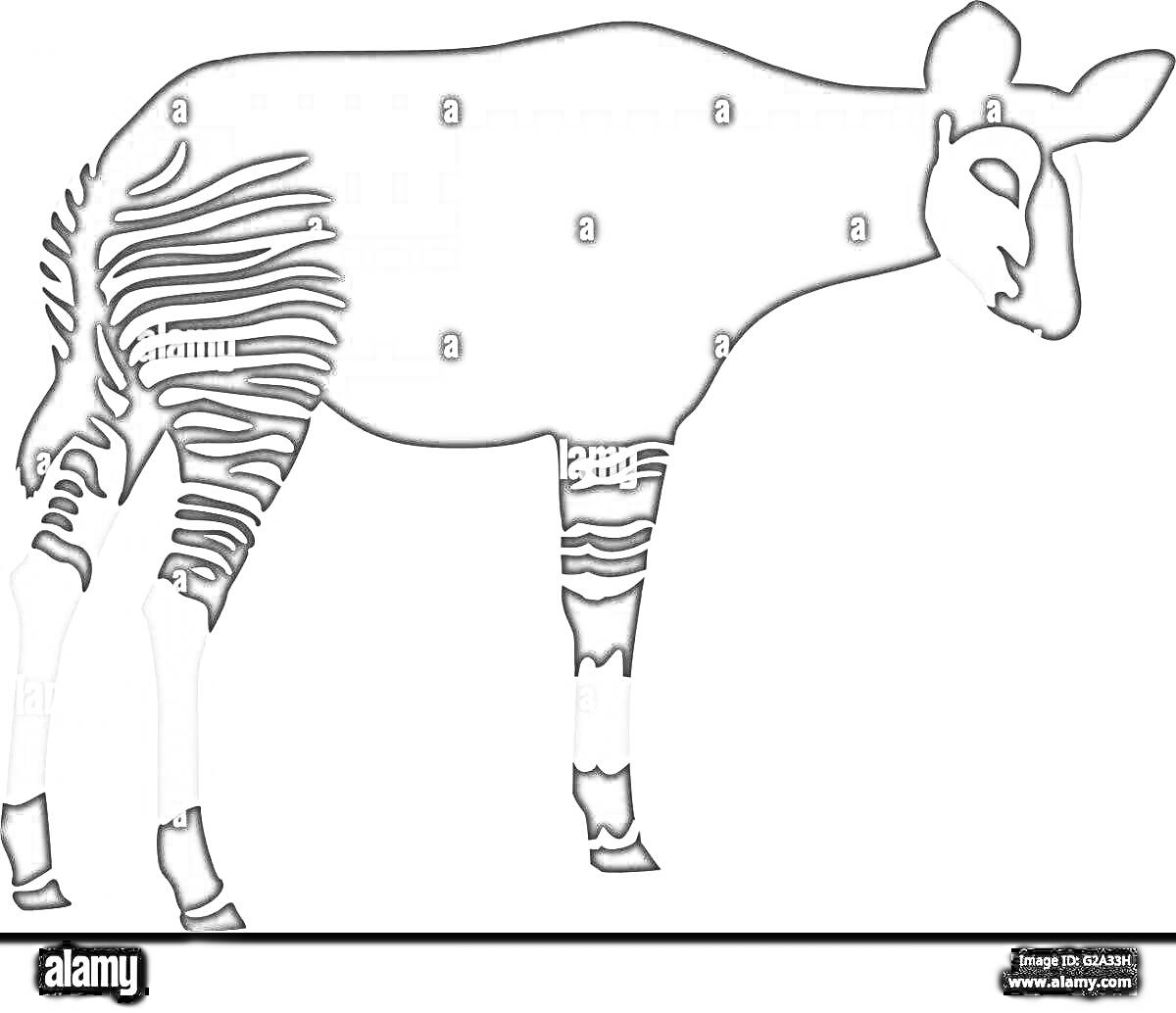 Раскраска Окапи в профиль с полосками на ногах и теле, чёрно-белая раскраска