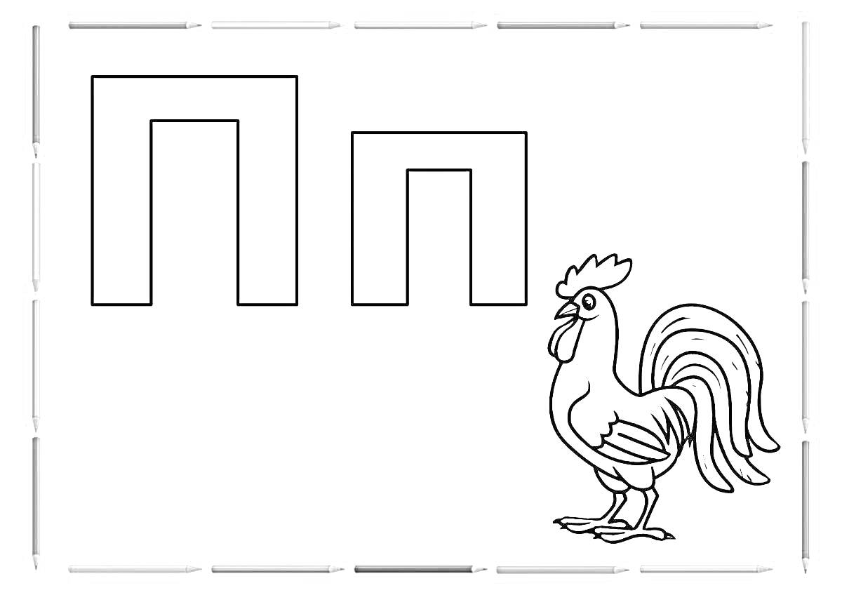 На раскраске изображено: Буква П, Петух, Азбука, Обучение, Буквы, Животные, Для детей