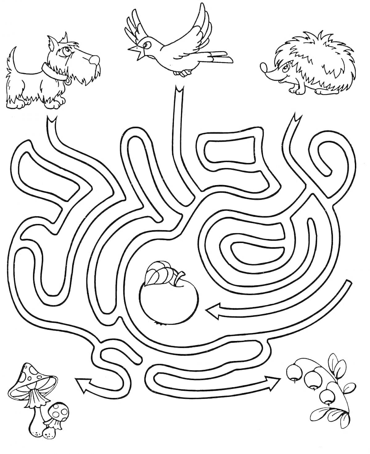 Раскраска Лабиринт с собакой, птицей, ежом, яблоком, грибами и ягодами