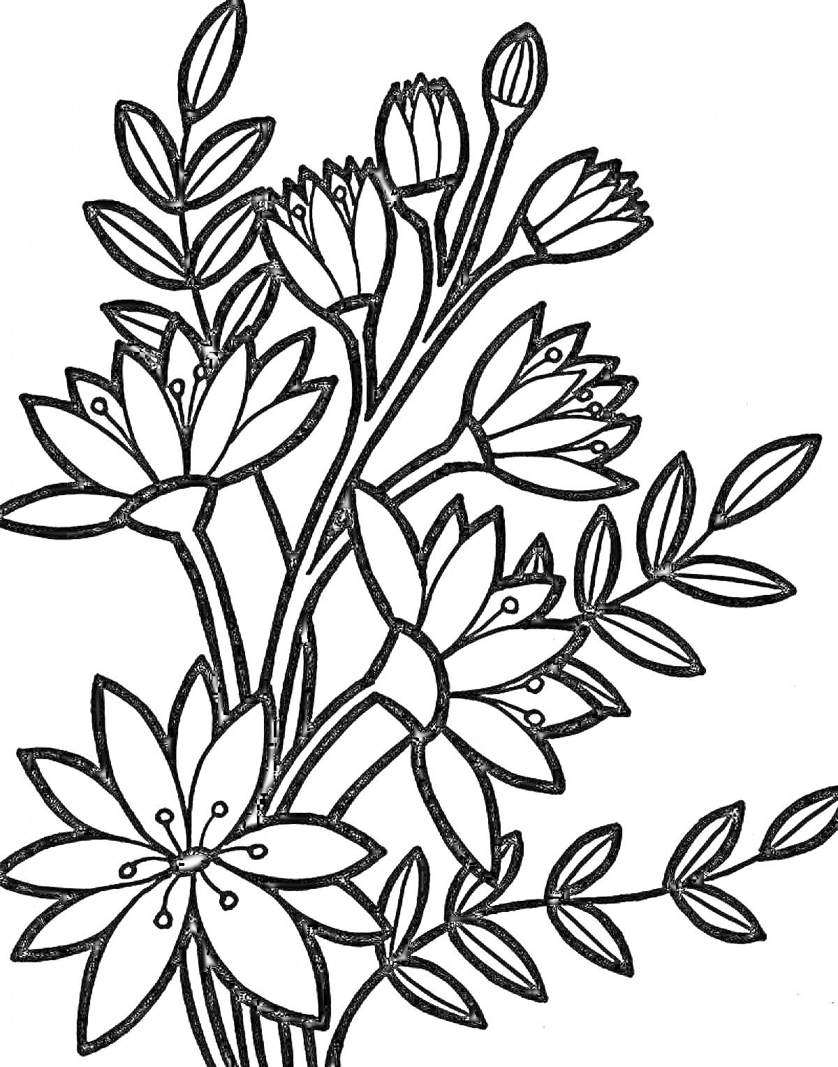 Раскраска Букет из распустившихся и нераскрывшихся цветков с листьями