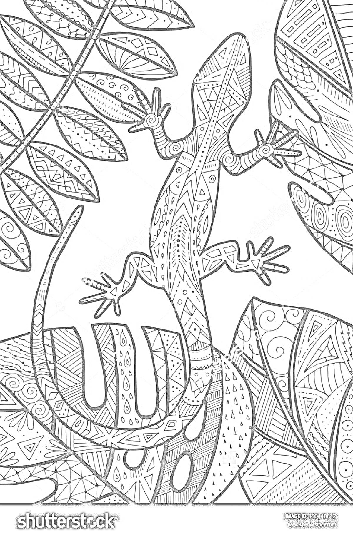 Раскраска Ящерица среди листьев и абстрактных узоров