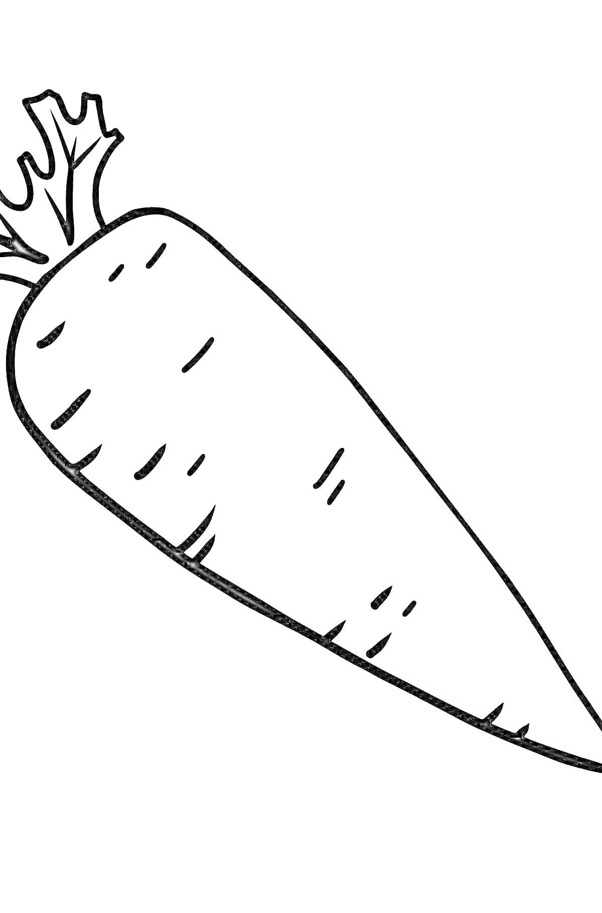 На раскраске изображено: Морковь, Ботва, Контурные рисунки, Овощи