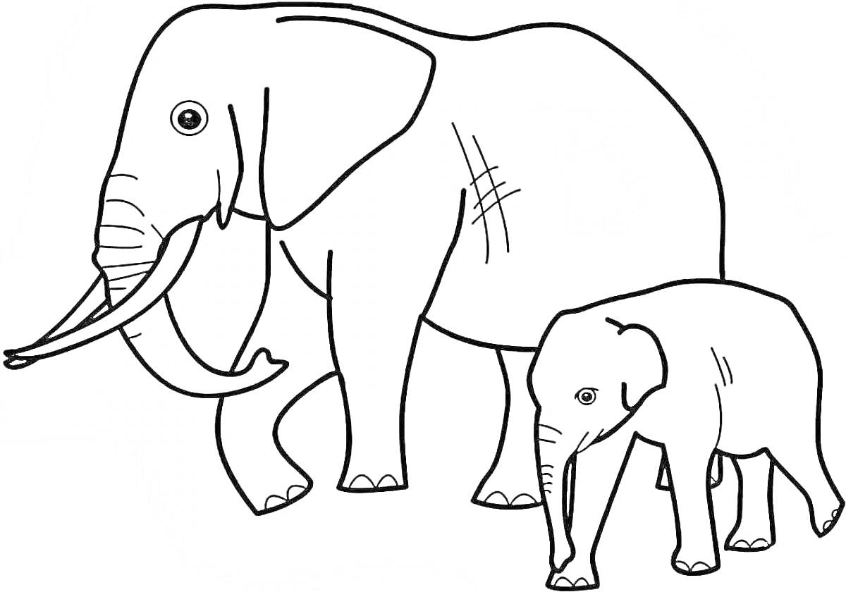 Раскраска Большой слон и слоненок, идущие вместе