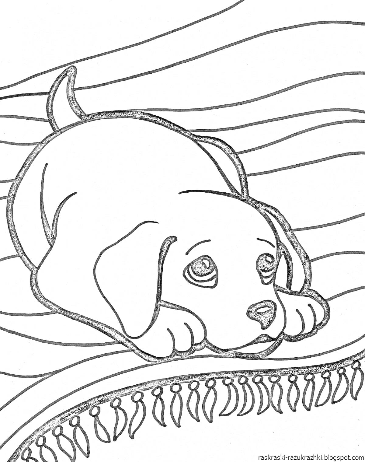 Раскраска Грустный щенок на коврике
