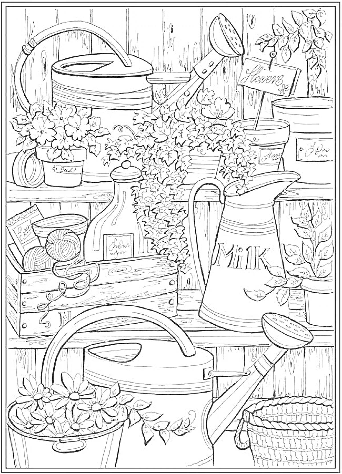 Раскраска Садки и кувшины с растениями на полке