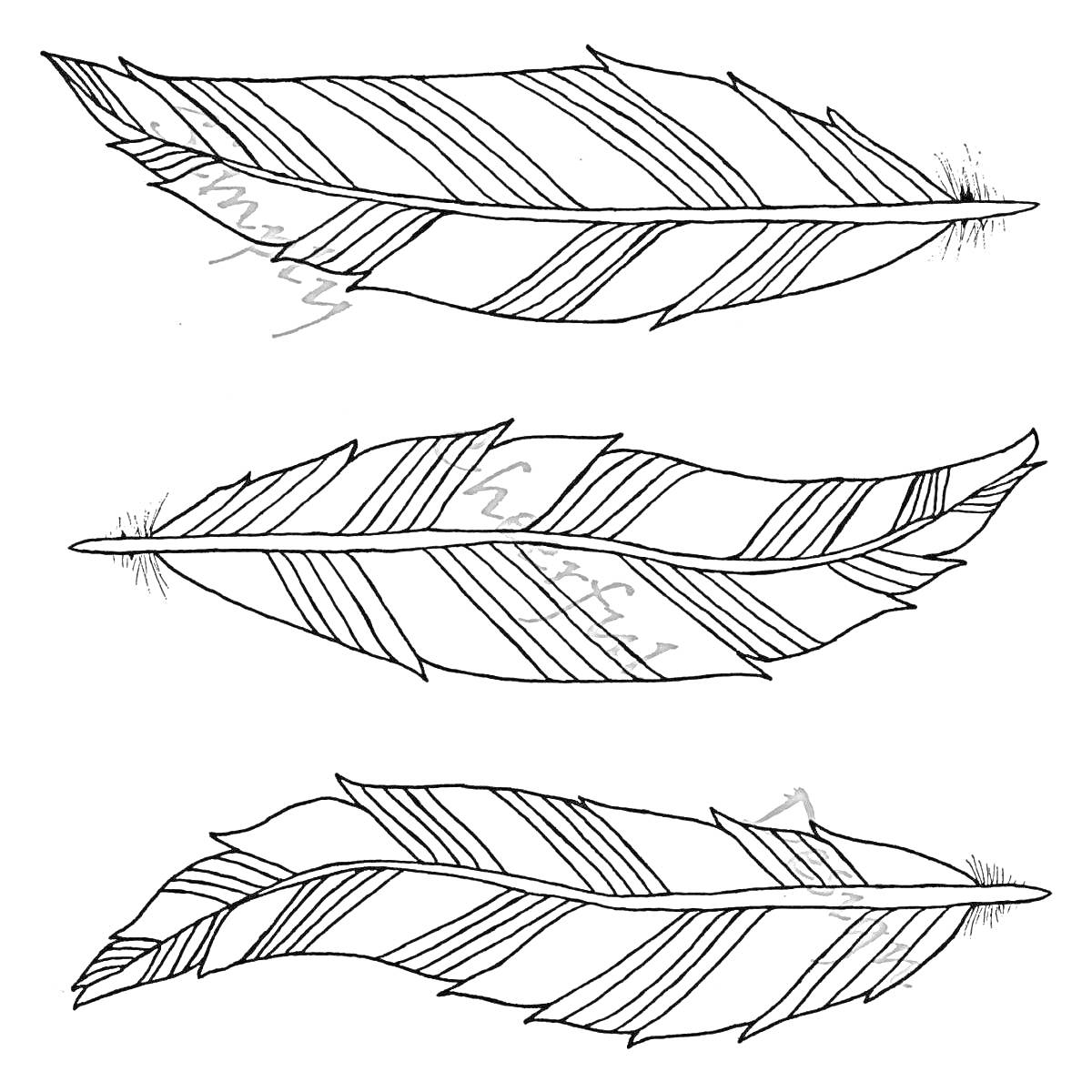Три пера с геометрическим узором