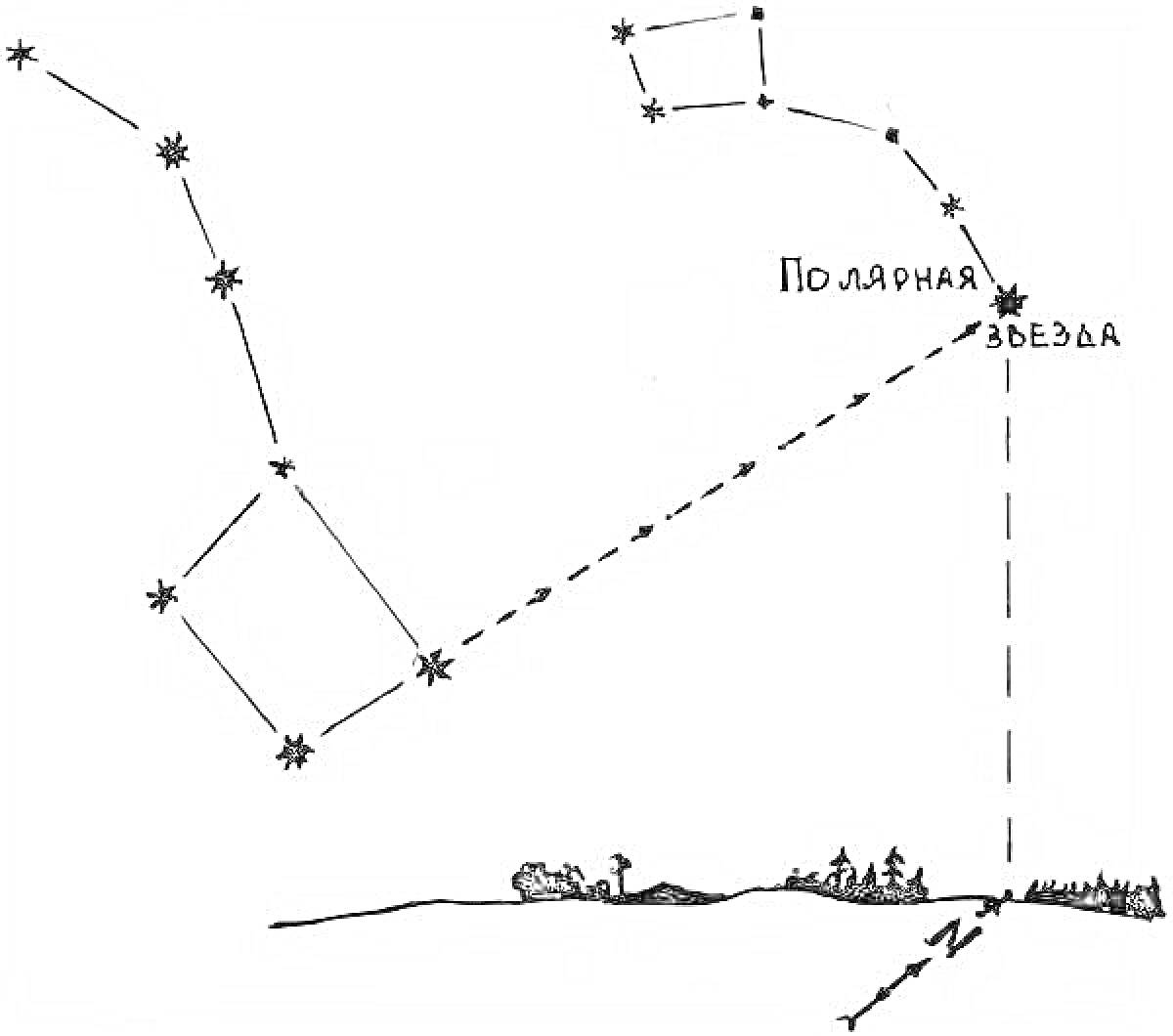 На раскраске изображено: Малая Медведица, Полярная звезда, Созвездие, Звезды, Ночь, Небо, Астрономия, Горизонт, Природа, Деревья