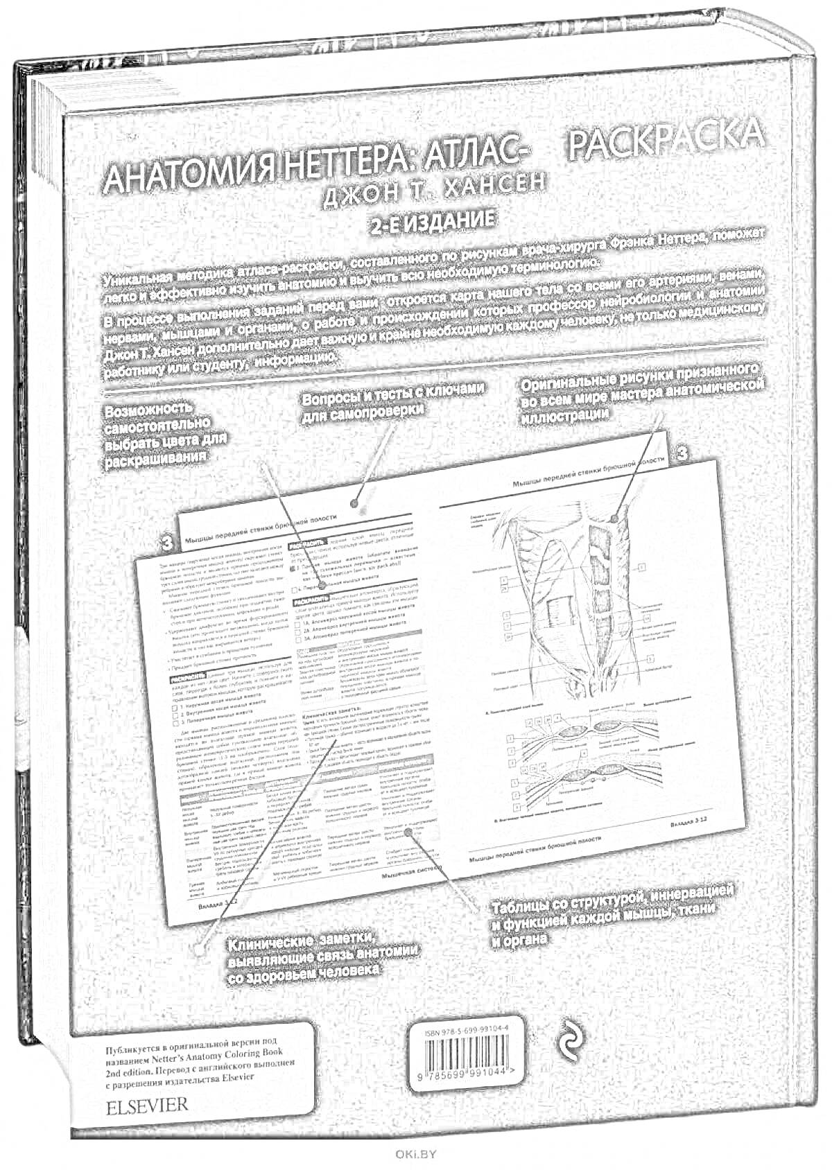 Раскраска Анатомия Неттера: Атлас - раскраска. Джон Т. Хансен. 2-е издание