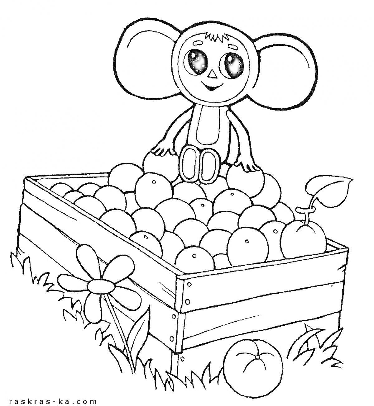 Раскраска Чебурашка в ящике с фруктами (апельсины), цветок, трава