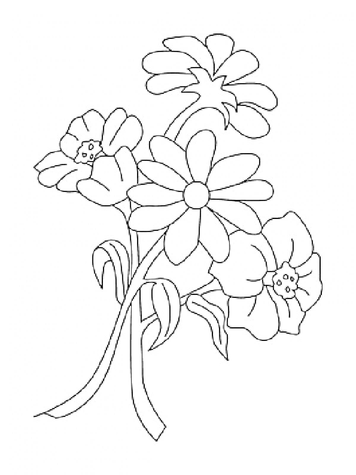 На раскраске изображено: Ромашка, Цветы, Лепестки, Ботаника, Букет цветов