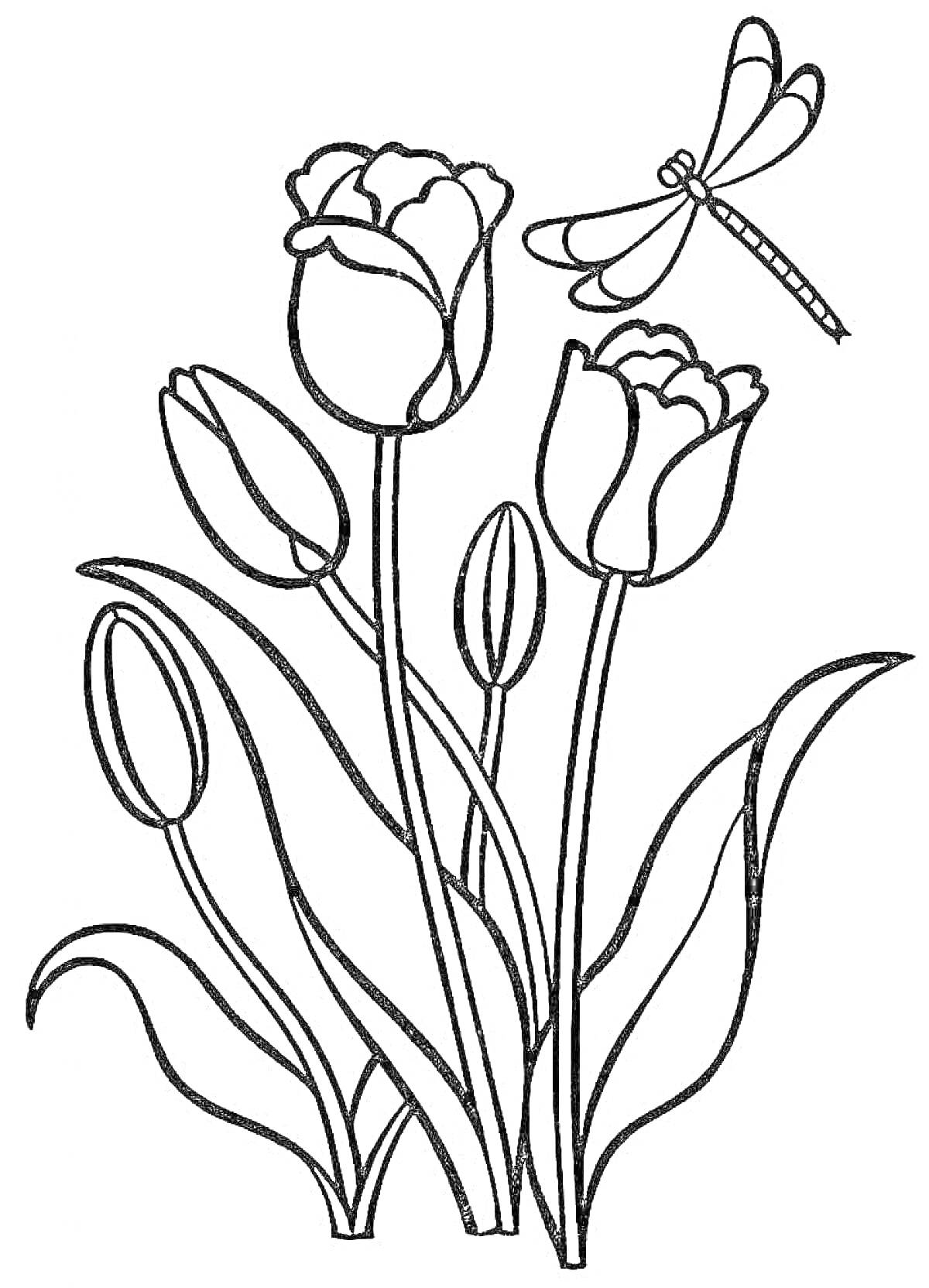 На раскраске изображено: Тюльпаны, Цветы, Листья, Природа, Для детей