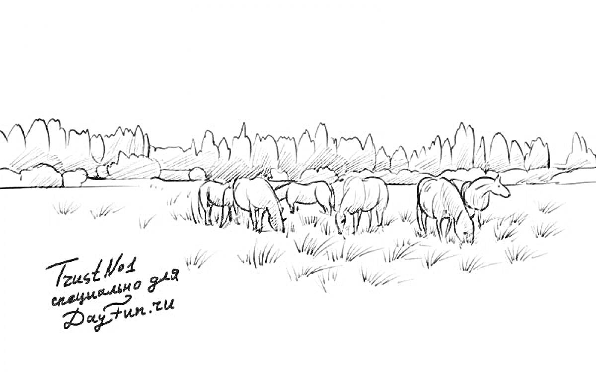 Раскраска Лошади пасутся на степи, на фоне деревья