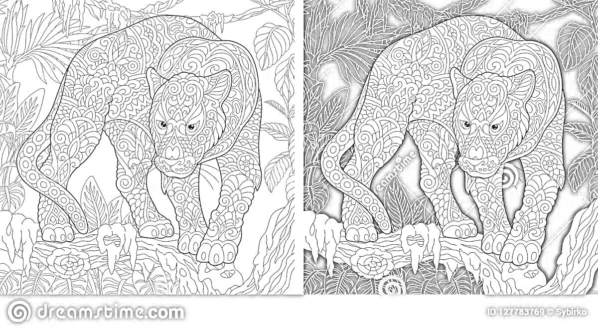 Раскраска Леопард среди лиан и растительности, антистресс раскраска в варианте с белым и черным фоном