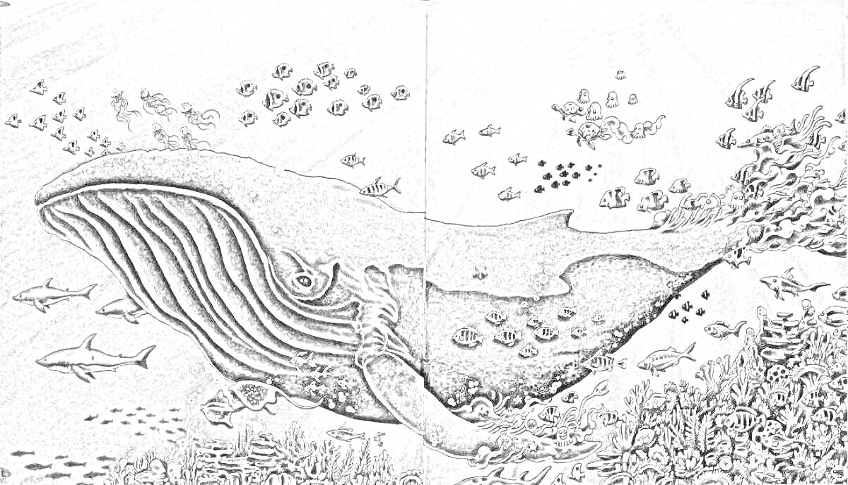 Раскраска Кит и подводный мир с рыбами, кораллами и водорослями