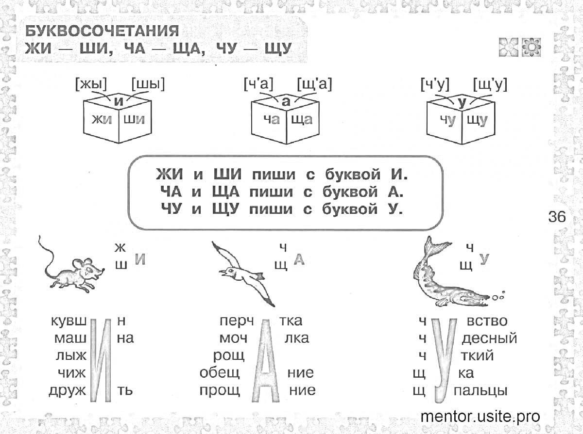 Раскраска Буквосочетания ЖИ, ШИ, ЧА, ЩА, ЧУ, ЩУ