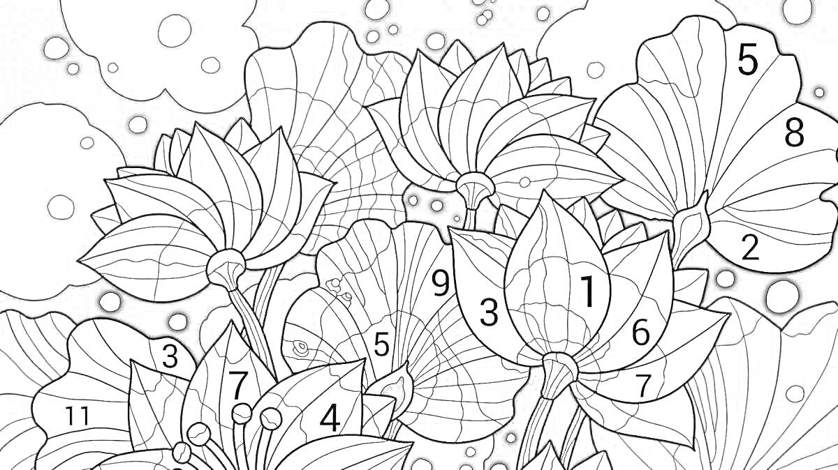 На раскраске изображено: По номерам, Цветы, Листья, Пруд, Ночь, Природа, Антистресс