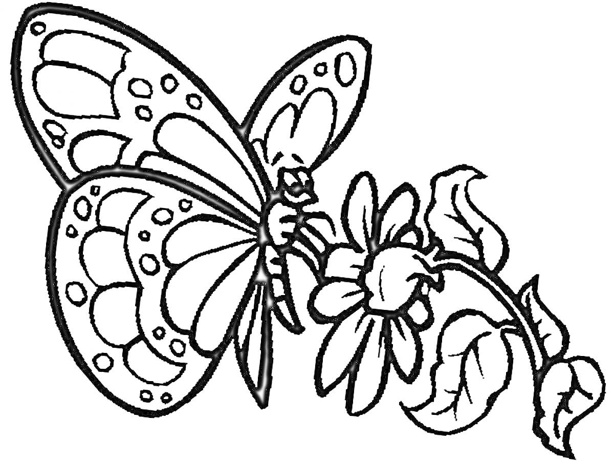 Раскраска Бабочка на цветке с листьями