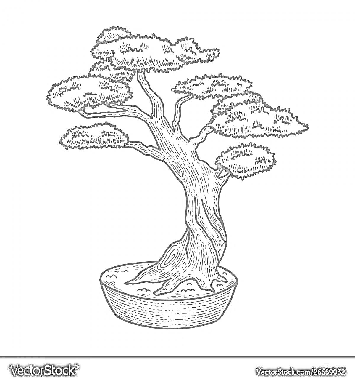 Раскраска Бонсай в горшке с листьями