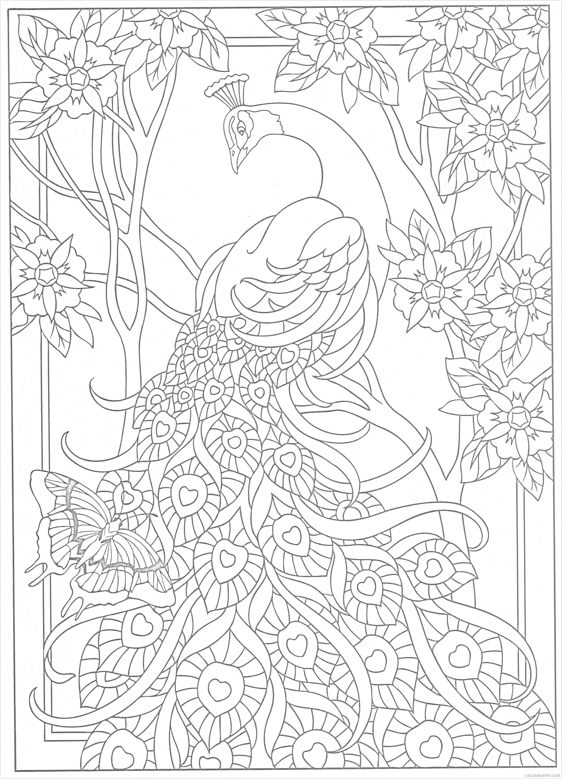 Раскраска Павлин среди цветущих деревьев с порхающей бабочкой