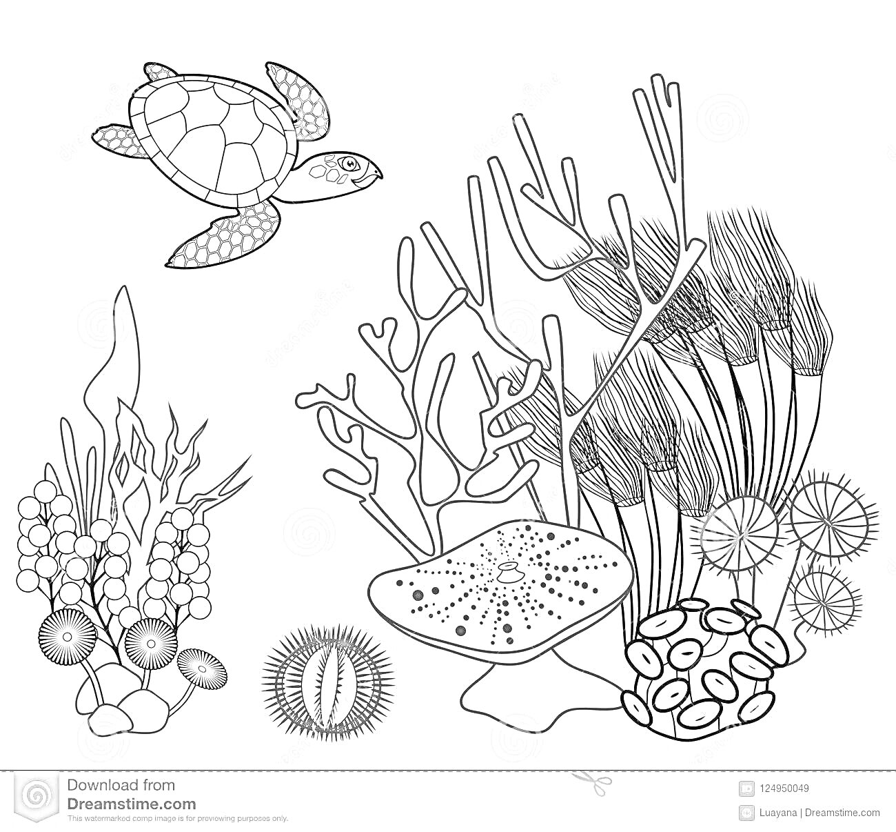 На раскраске изображено: Коралловый риф, Черепаха, Кораллы, Морской еж, Морской мир, Подводный мир
