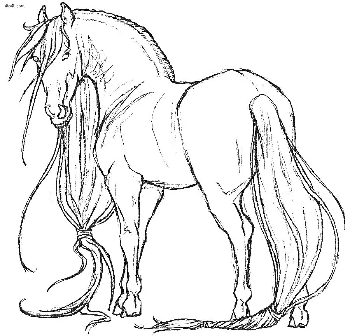 Раскраска Лошадь с длинной гривой и хвостом