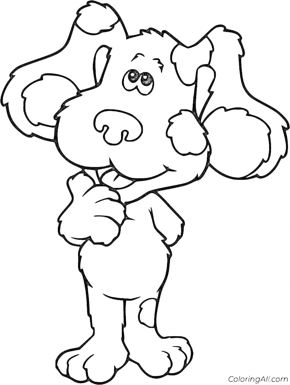 Раскраска Щенок с большими ушами