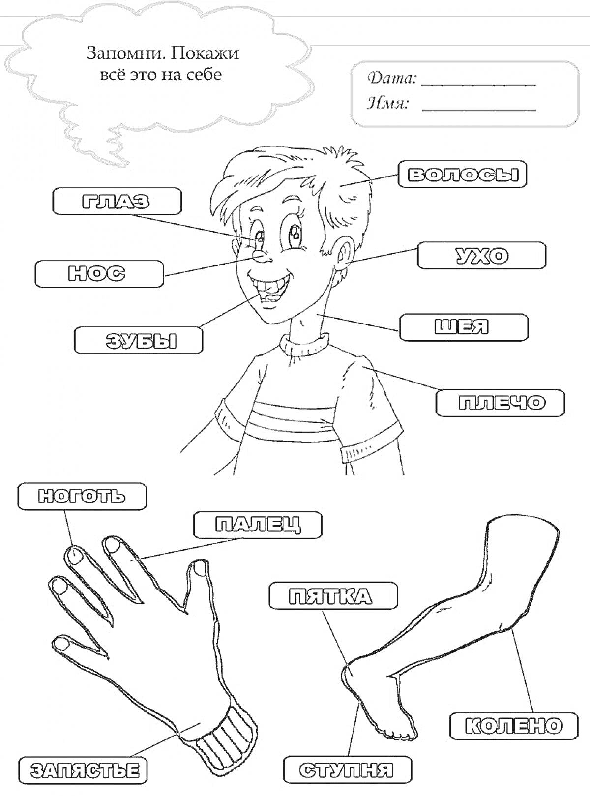 Раскраска с частями тела человека для детей