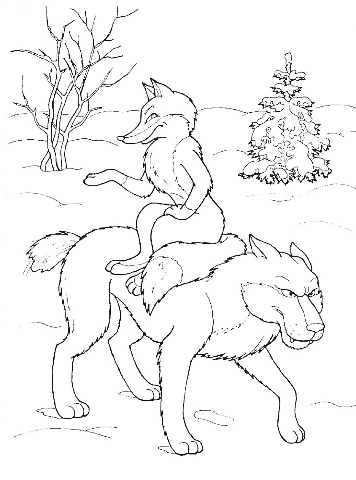 Раскраска Лиса на спине волка в зимнем лесу