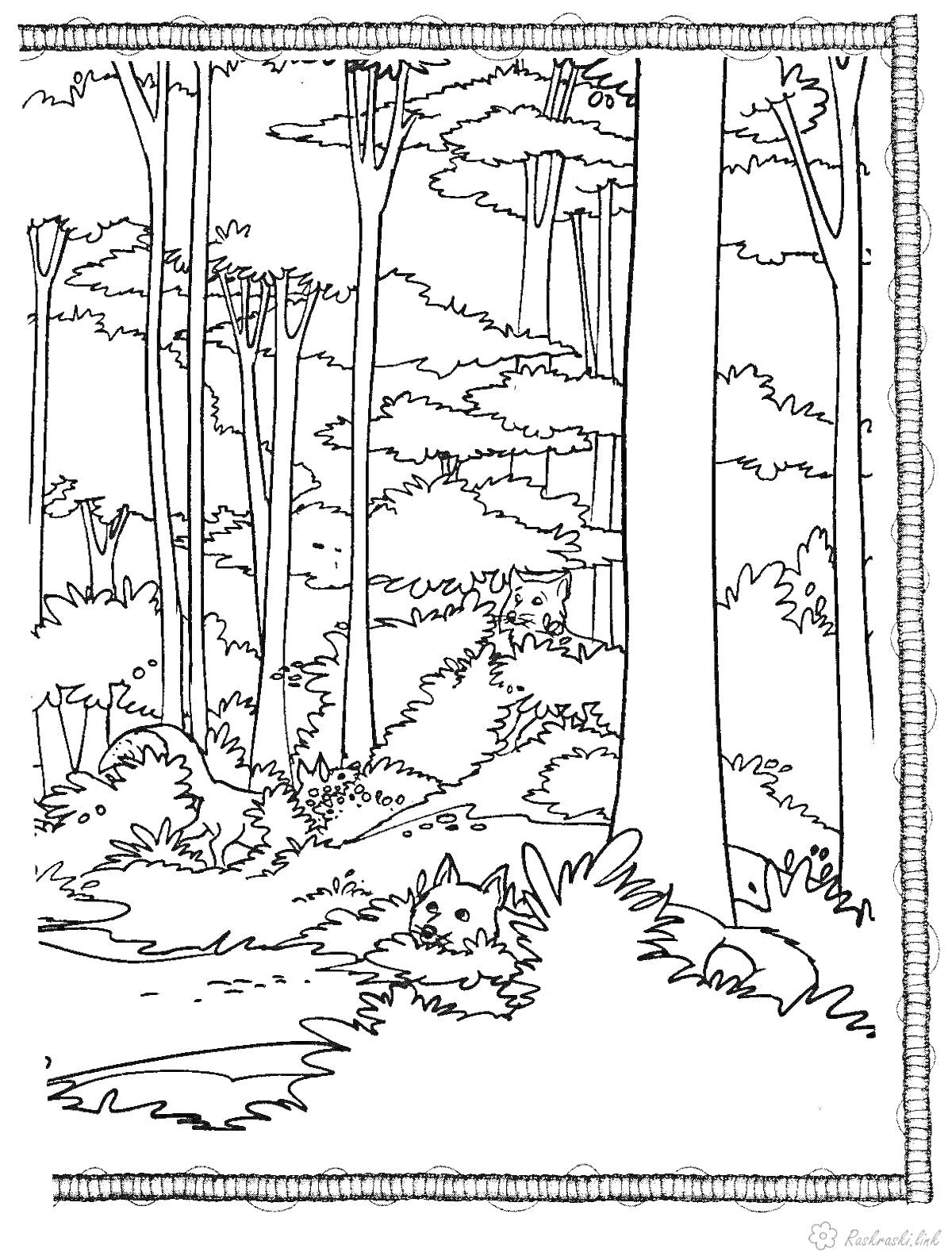 Раскраска Лес с деревьями и кустами, спрятавшийся волк