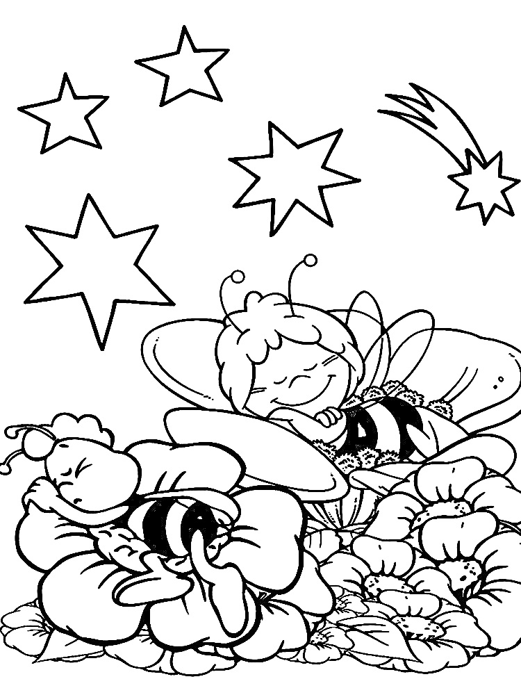 Пчелка Майя и ее друг спят на цветах под звездами и метеором
