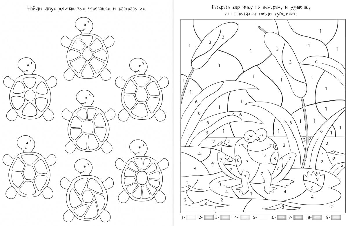 Раскраска Найди одну одинаковую черепаху и раскрась её; Раскрась картинку по номерам, в пруду, где травка и крыш лягушка.