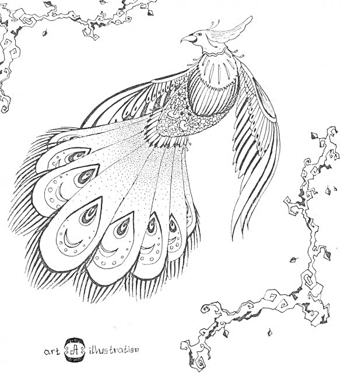 На раскраске изображено: Узоры, Длинный хвост, Крылья, Природа, Ветка