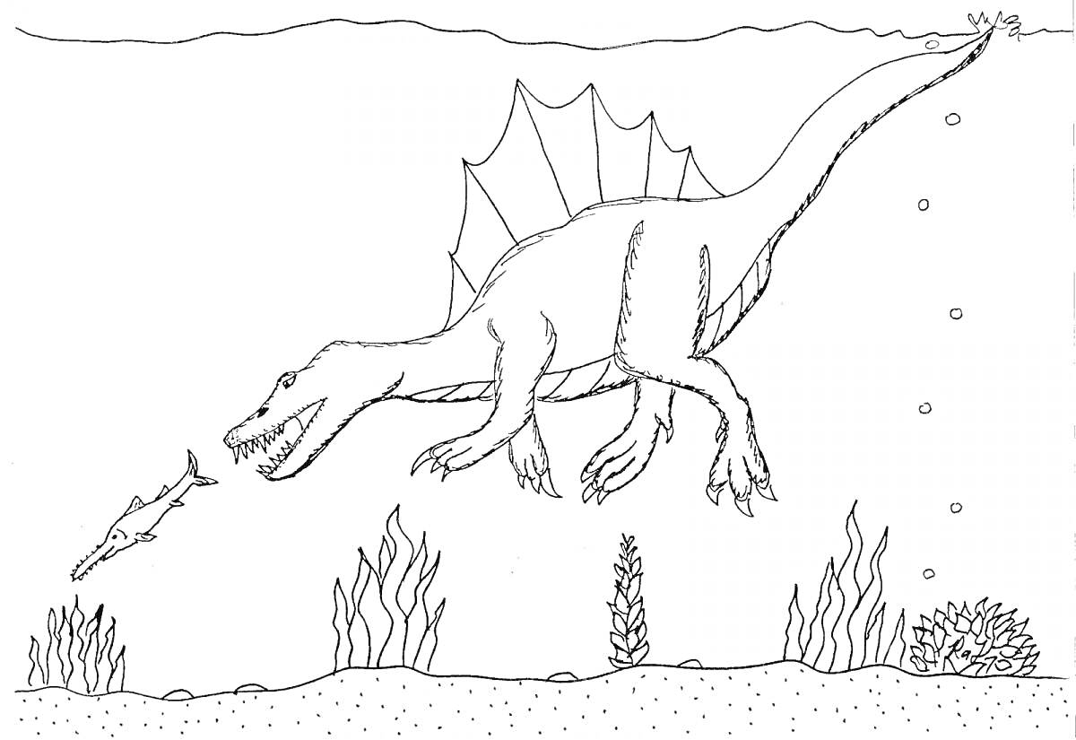 На раскраске изображено: Спинозавр, Динозавр, Подводный мир, Рыба, Охота, Водоросли