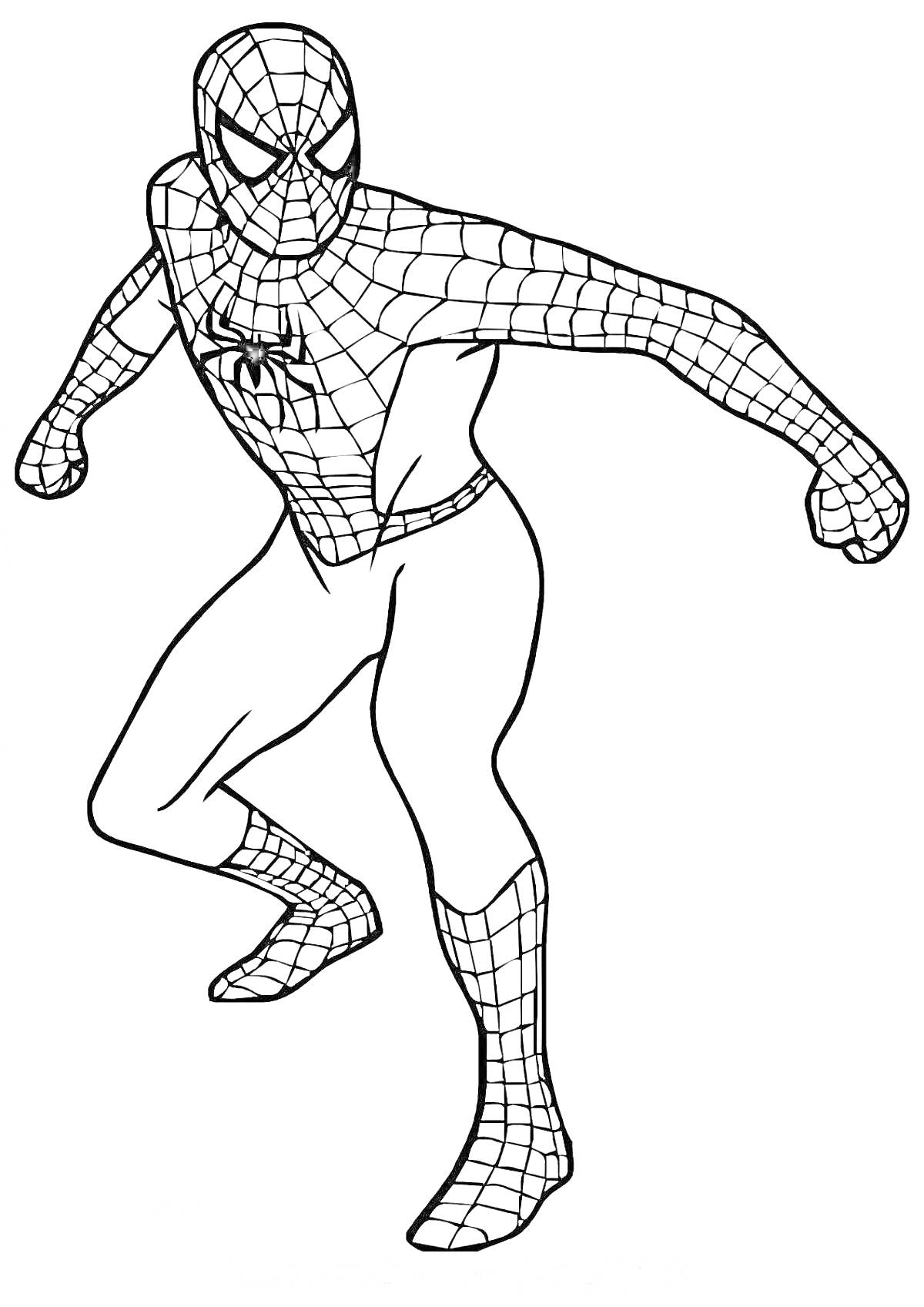 Раскраска супергерой в полный рост в костюме с паутиной и пауком на груди в боевой позе
