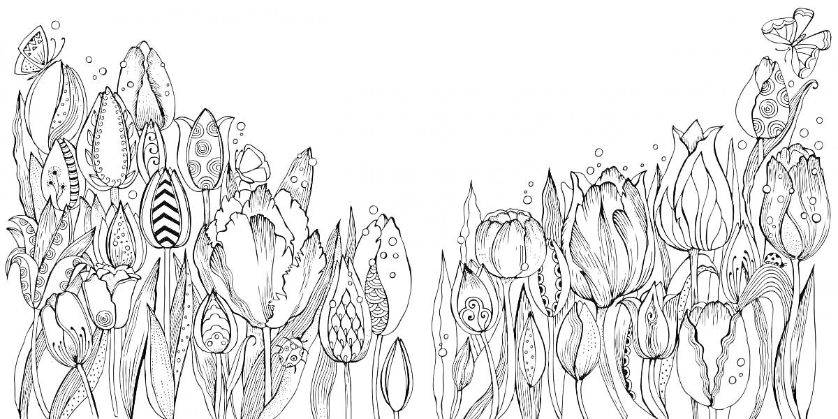 На раскраске изображено: Тюльпаны, Цветы, Природа, Эскизы, Акварель, Арт, Ботаника, Бабочка, Контурные рисунки