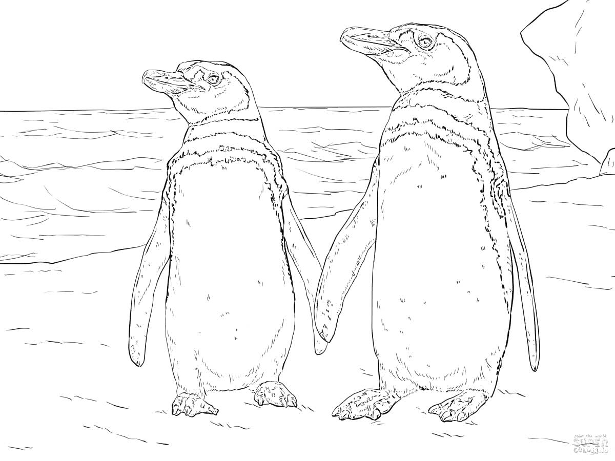 На раскраске изображено: Пингвины, Антарктида, Море, Льдины, Животные, Природа