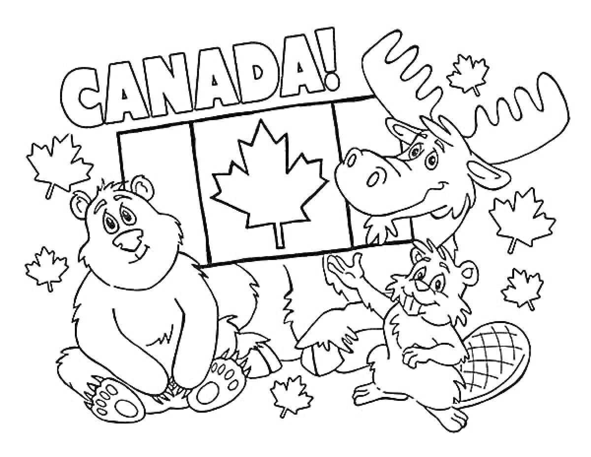Раскраска Медведь, бобёр и лось на фоне канадского флага с кленовыми листьями
