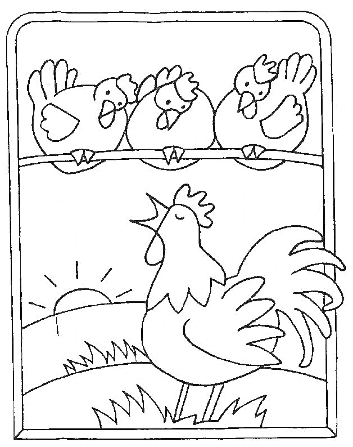 На раскраске изображено: Курицы, Петух, Жердочка, Рассвет, Трава, Ферма, Утро, Птица, Солнце
