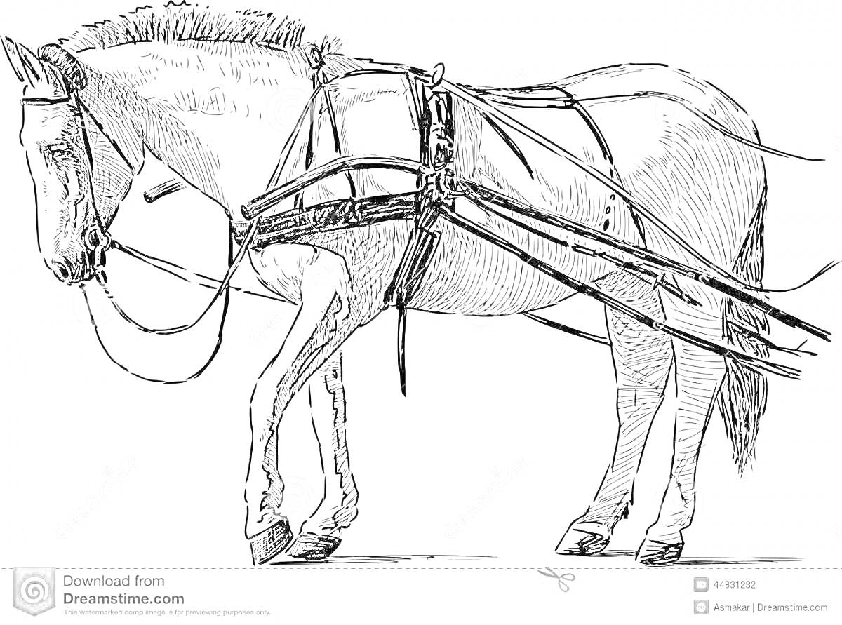 На раскраске изображено: Лошадь, Упряжка, Сани, Иллюстрация, Животные, Транспорт, Контурные рисунки