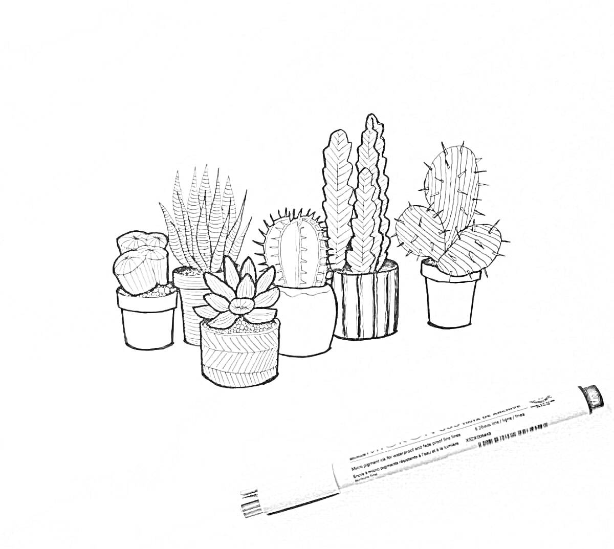 Раскраска Раскраска с изображением шести горшков с кактусами и суккулентами на белом фоне с черным маркером в правом нижнем углу