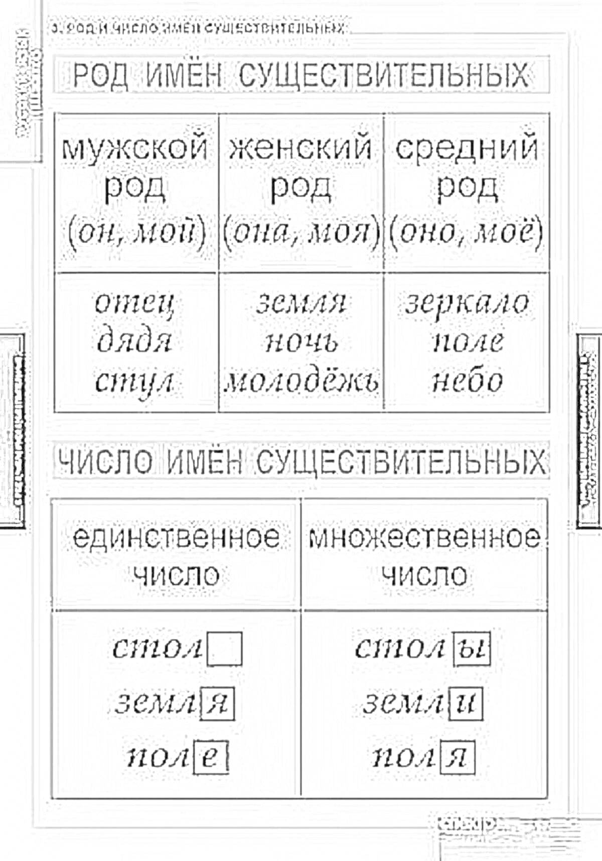 род и число имён существительных, таблица с примерами рода и числа существительных