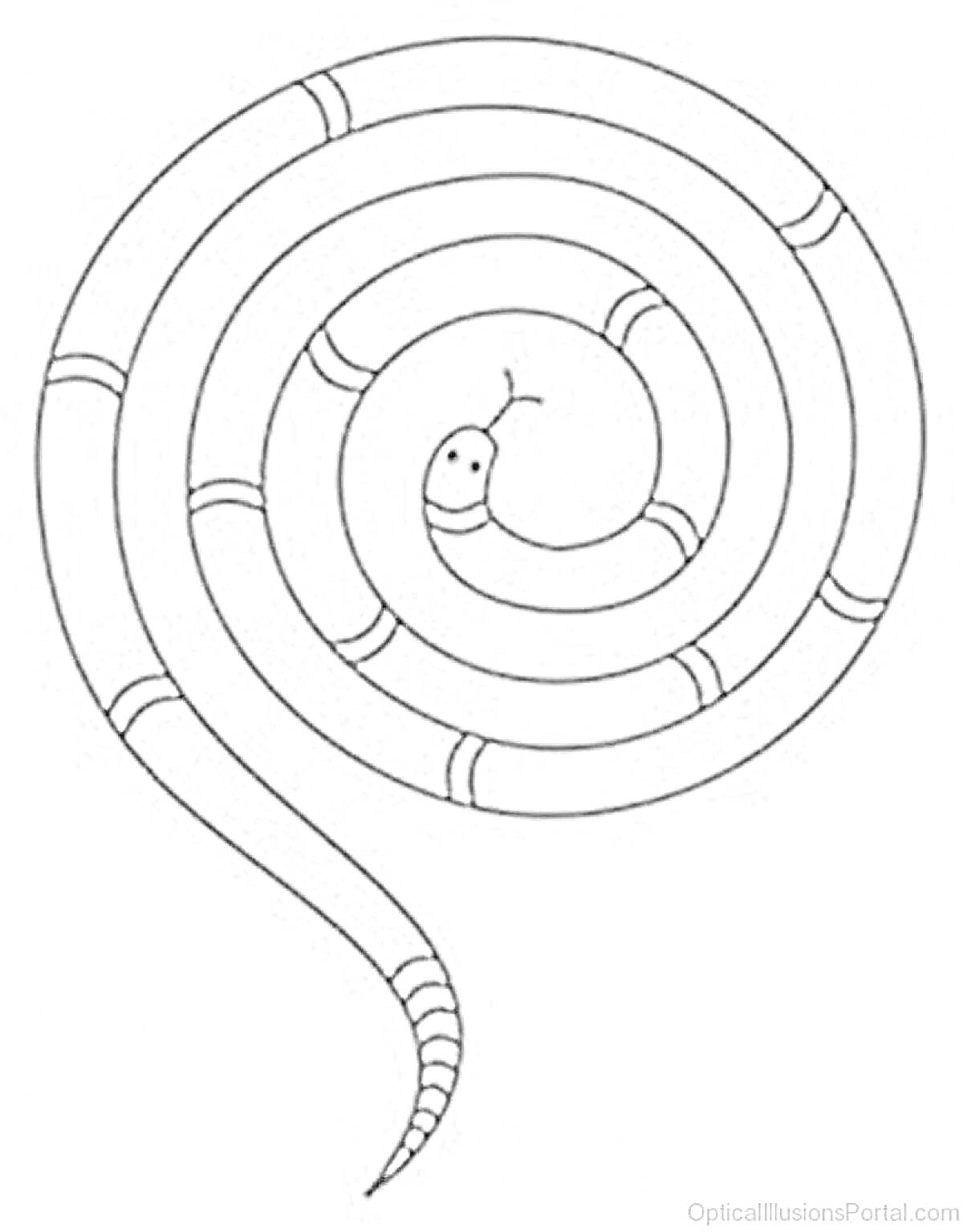 Раскраска Спиральный рисунок с улыбающейся змеей, украшенной полосами