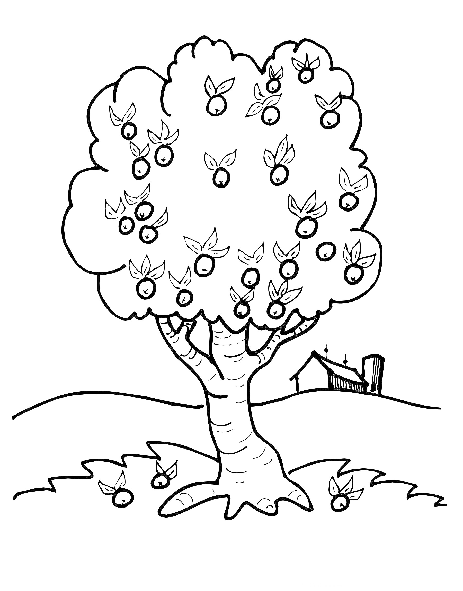На раскраске изображено: Яблоня, Деревья, Плоды, Сарай, Луг, Природа, Сельская местность, Яблоко