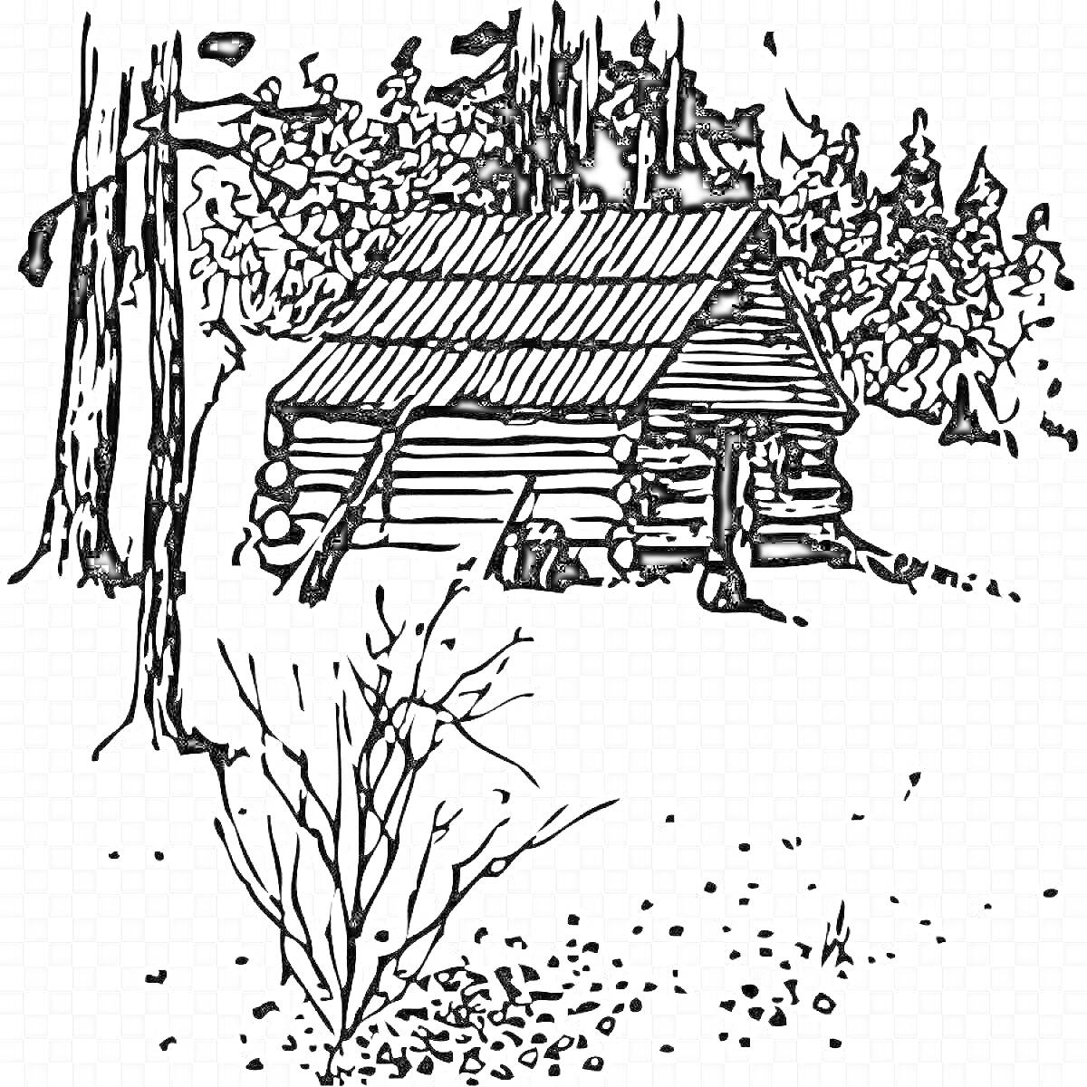 Ветхая землянка с бревенчатой крышей в лесу, окруженная деревьями и кустарниками
