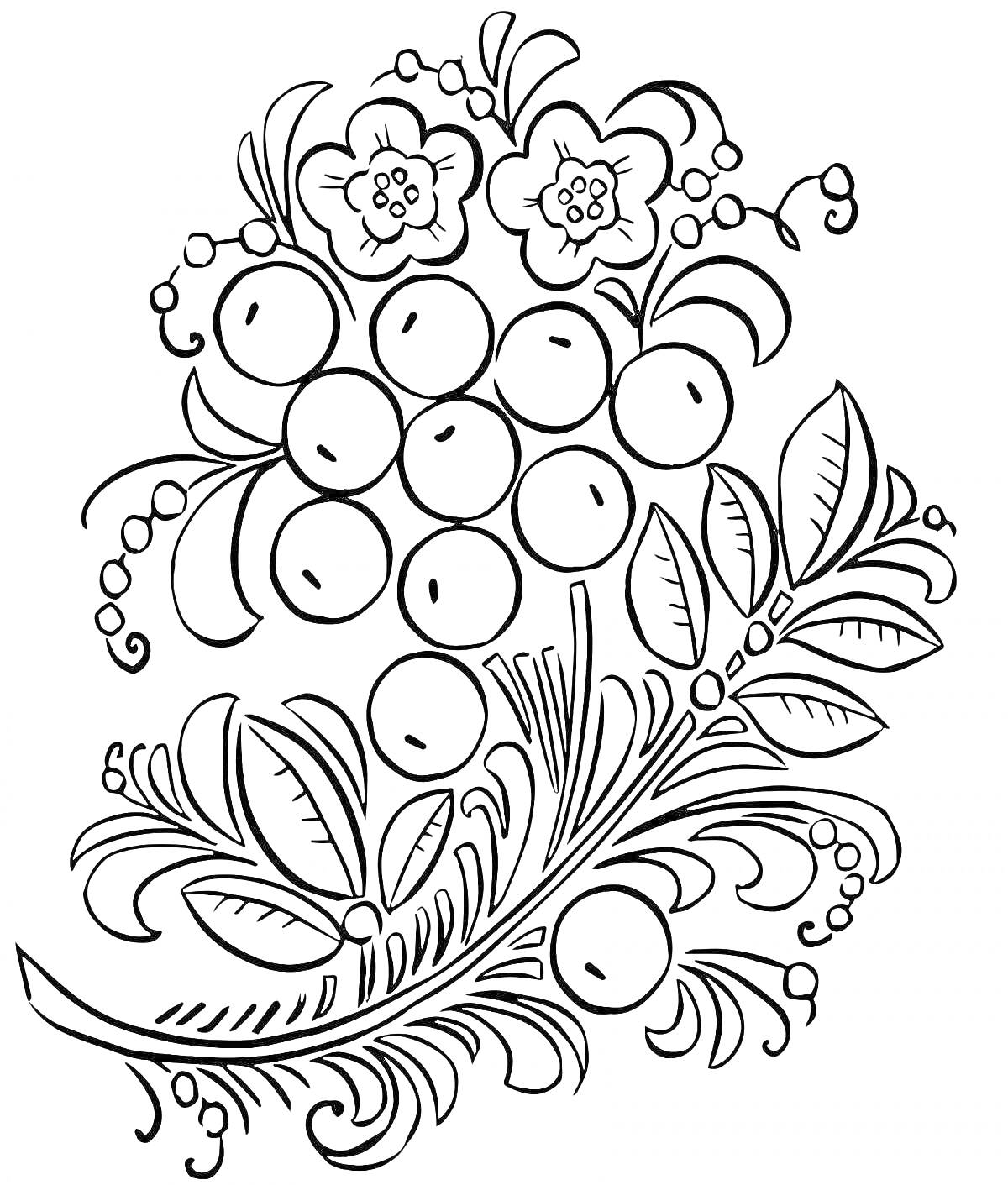 Раскраска Веточка с ягодами, листьями и цветами в стиле хохломской росписи